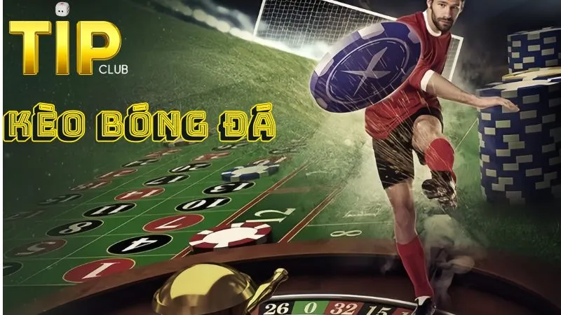 Một số môn thể thao cá cược trực tuyến hấp dẫn tại Tipclub